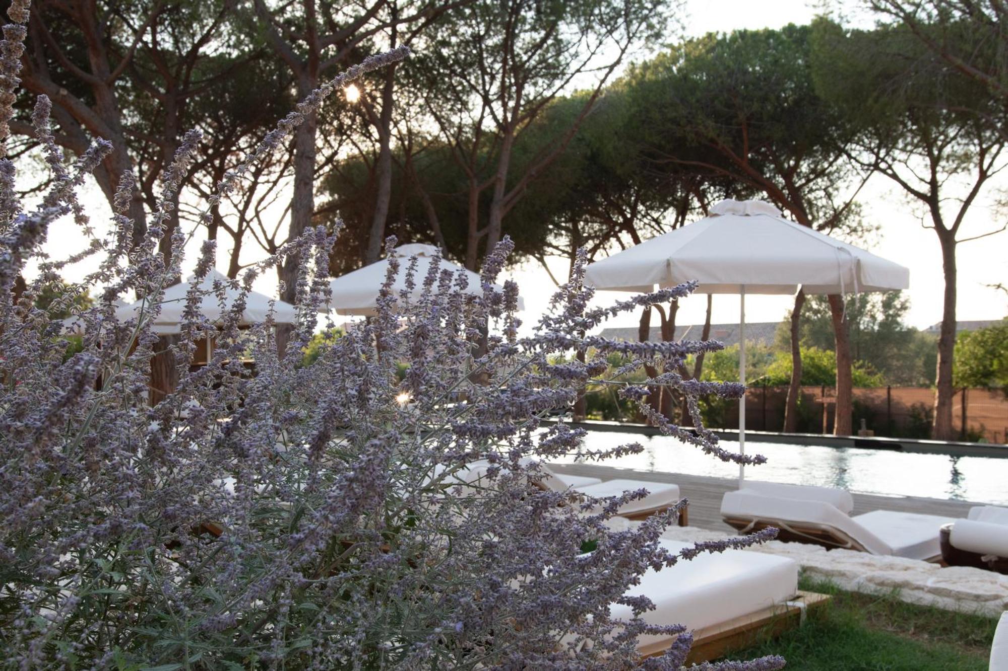 Boutique Hotel Responsable Et Restaurant Basgi Basgi Saint-Florent  Exterior foto